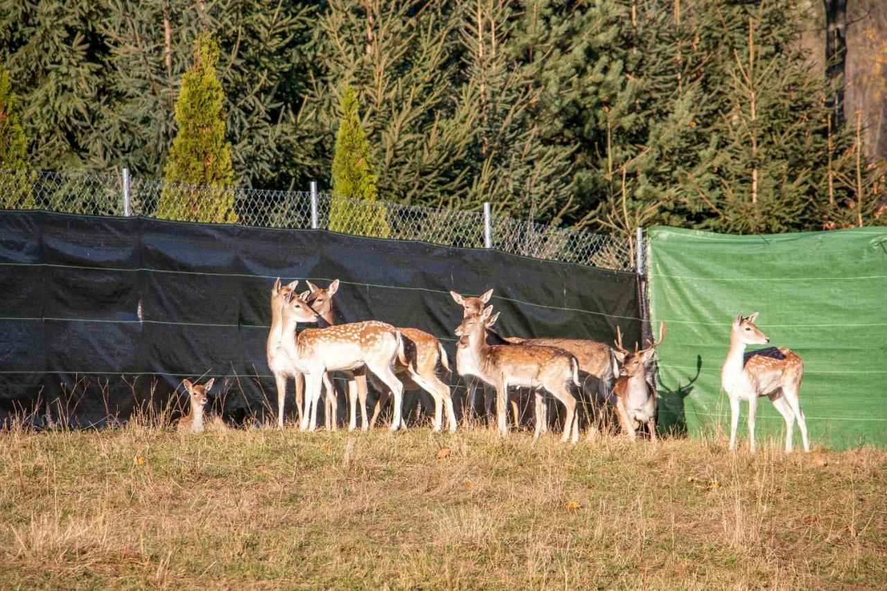 Grand Tatry - Miejsce Na Wyjatkowy Pobyt Dla Ciebie I Twojej Rodziny! - Sauna I Jacuzzi Wliczone W Cene Pobytu -10 Minut Pieszo Od Term Bania Białka Tatrzańska Exterior photo